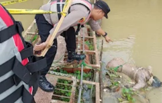 pelajar ES (17) asal Pajar Bulan, Way Tenong, Kabupaten Lampung Barat ditemukan tewas mengapung di Bendungan PLTA Way Besai di Pekon Sukapura, Sumber Jaya, Jumat 1 Desember 2023.