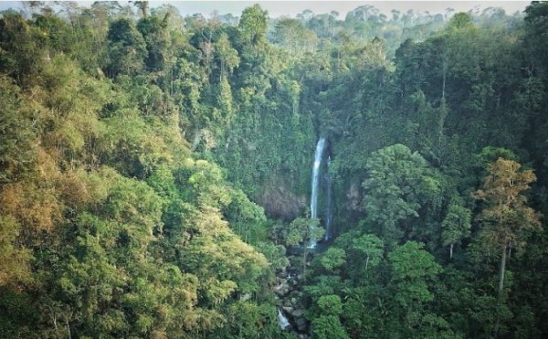Air terjun Asmara tersebut memiliki ketinggian sekitar 80 meter dengan debit air yang turun sangat tinggi. Lokasinya ada di pinggang bukit, dan di sekelilingnya terdapat kebun kopi milik warga setempat- foto download Internet