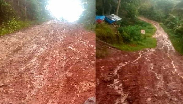 Jalan Pekon Tamansari Pugung Tak Kunjung Diperbaiki, Warga: Pemerintah Jangan Cuek Dong!