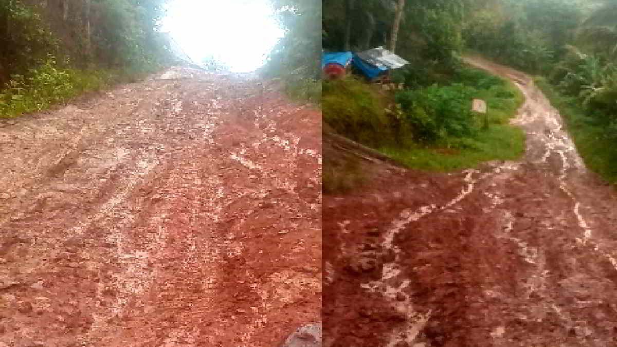 Kondisi Jalan Pekon Tamansari di Dusung Bojong, dalam kondisi rusak parah, belum ada tanda-tanda segera diperbaiki meskipun sudah jadi keluhan warga