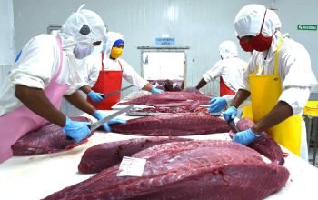 Ikan olahan ; Kesepakatan baru oleh KKP bahwa ekspor ikan olahan Tuna Kaleng dan Cakalang ke Jepang zero tarif