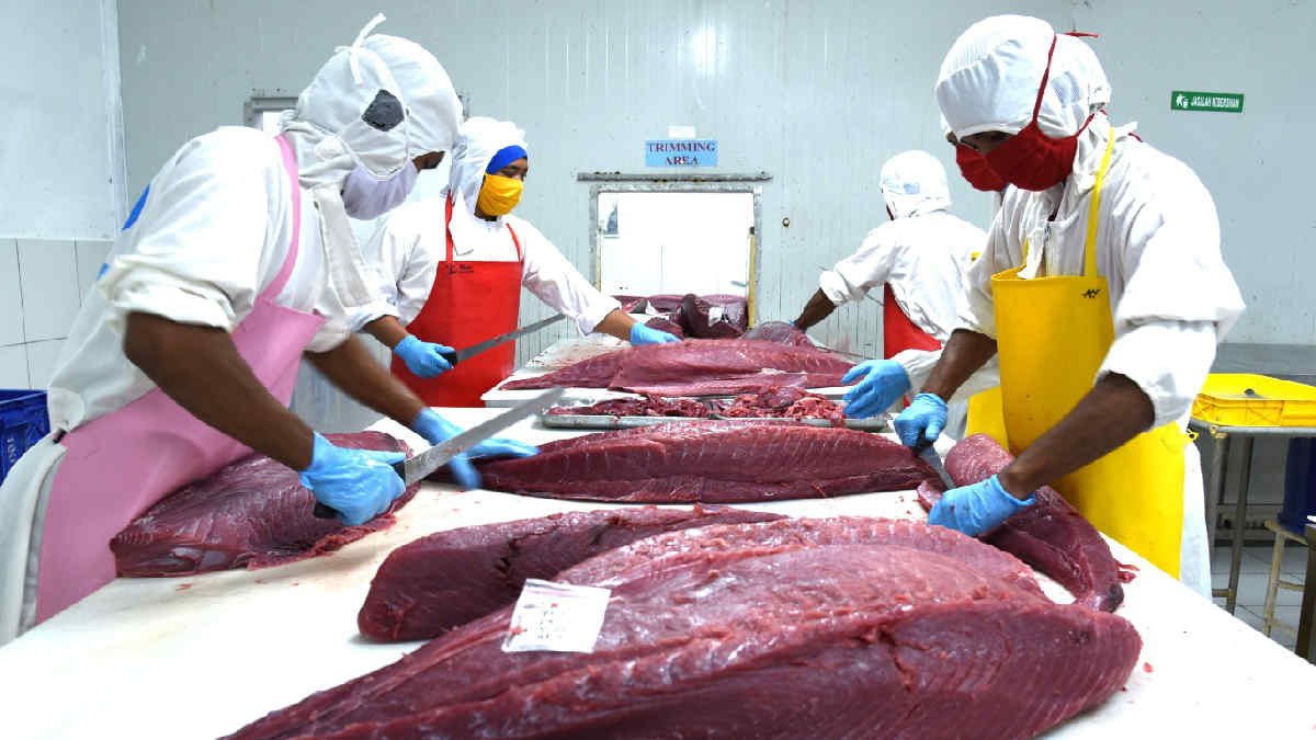 Ikan olahan ; Kesepakatan baru oleh KKP bahwa ekspor ikan olahan Tuna Kaleng dan Cakalang ke Jepang zero tarif