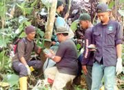 Warga Lampung Barat Tewas Diterkam Harimau, Lokasi Kejadian di Pasang Kamera Pengintai