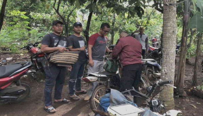 Arena Sabung Ayam di Sribhawono Gerebek Polisi, 2 Ekor Ayam Jago Diamankan