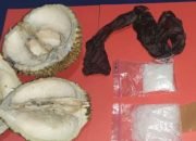Modus Selipkan Sabu Dalam Durian, Warga Pugung dan Pardasuka Pringsewu Ditangkap di Way Kanan