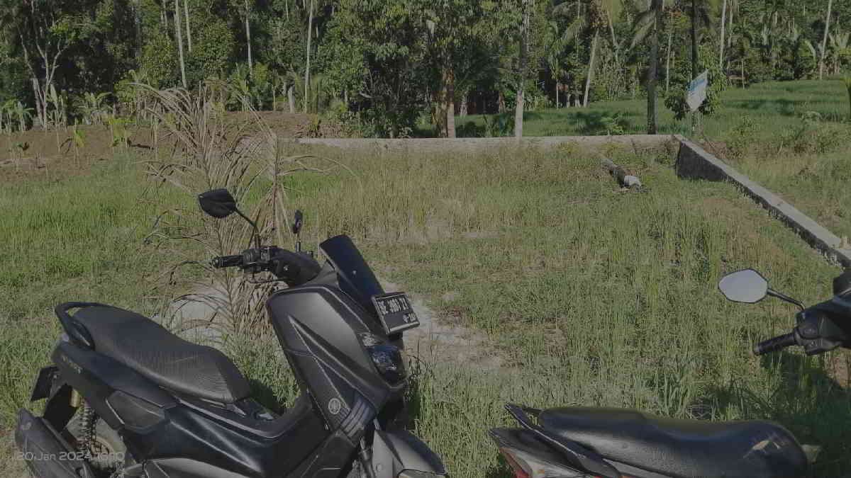 Lokasi tanah ukuran 20 x 25 yang dibeli seharga Rp130 juta menggunakan dana desa Pekon Pardasuka, Kota Agung Kabupaten Tanggamus -foto SMN