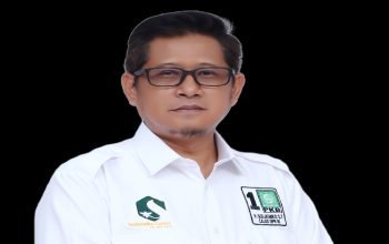 H. Sudjatmiko, S.T, Politisi PKB