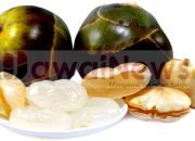 Mengapa Diburu di Bulan Ramadhan, Kolang Kaling Ternyata Milik Beragam Manfaat bagi Kesehatan