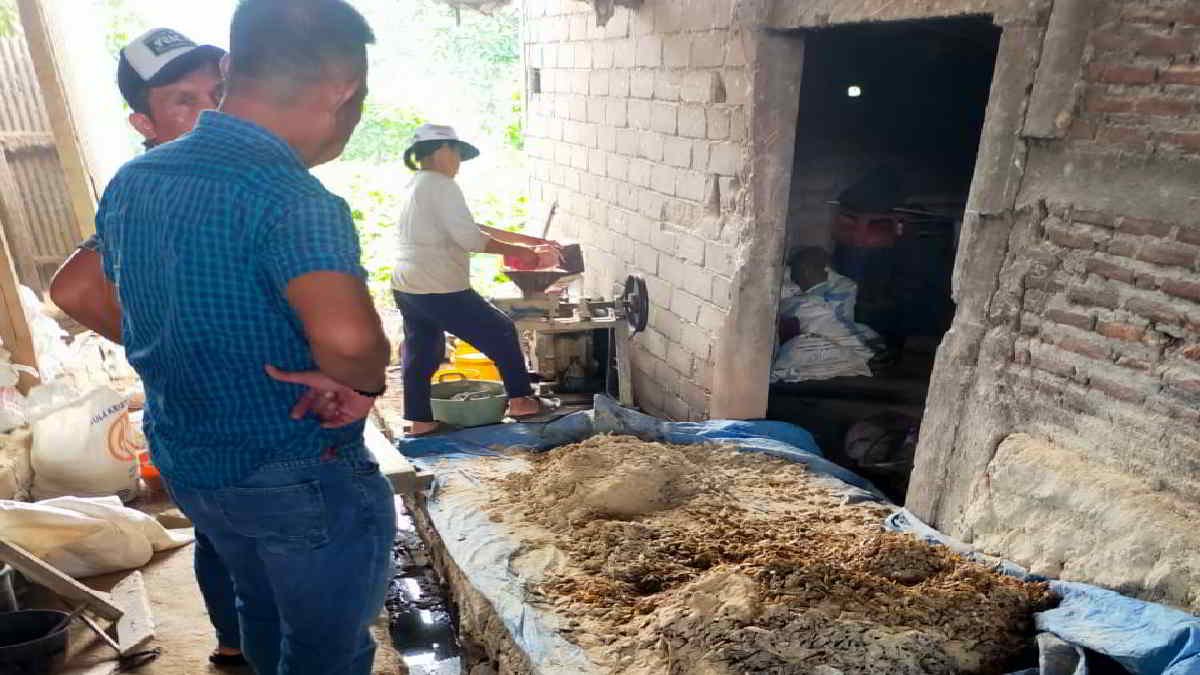 Suasana Produksi Pakan Ikan menggunakan ikan yang telah membusuk di rumah Dulah, warga Pugung, Sekampung Udik, Lampung Timur Selasa 26 Maret 2024 - Foto Kandar