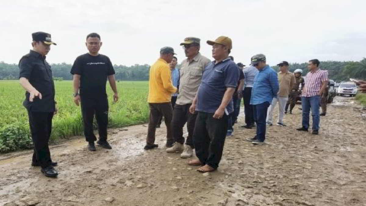 Pj Bupati Pringsewu Marindo meninjau jalan rusak di wilayah kecamatan Ambarawa dan Banyumas, Minggu (17/3/2024) - foto doc Ist