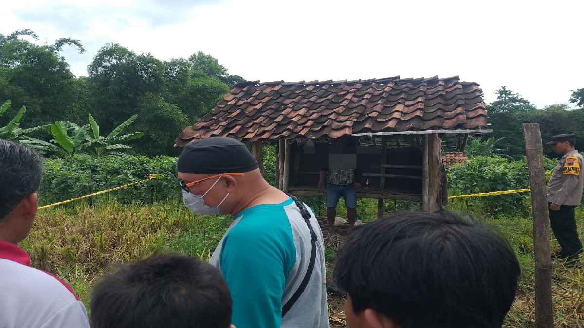 Istri jadi TKI di Arab Saudi, Kosir (34) warga Rajegwesi, Pagerbarang, Kabupaten Tegal ditemukan gantung diri digubuk , Senin 11 Maret 2024 -foto PAN