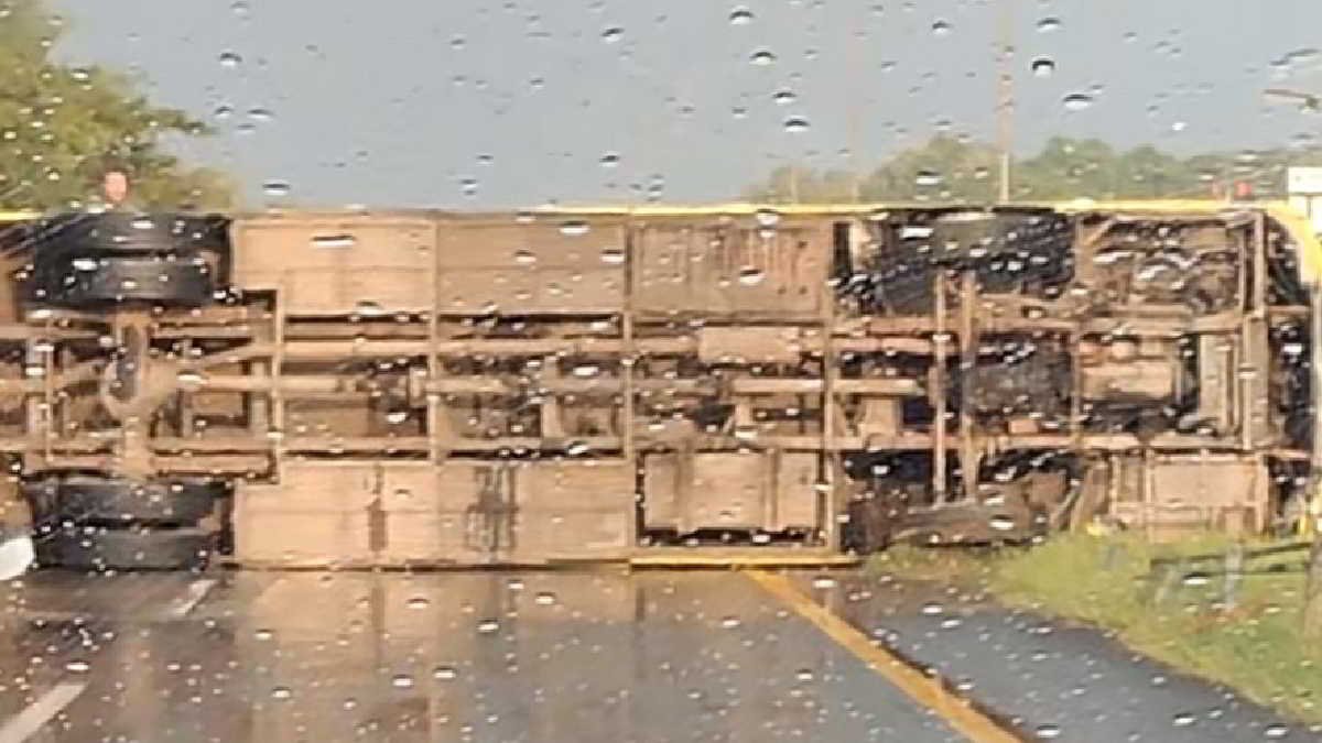 Bus Setia Negara alami kecelakaan tunggal di Tol Cipali, KM 98 A di Kalijati, Subang, Jawa Barat pada Rabu 10 April 2024