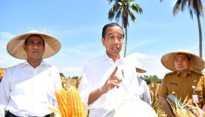 Jokowi Adu Domba Prabowo dan Megawati?