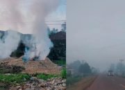 Kabut Asap Selimuti Desa Sidorejo Lamtim, Dampak Pembakaran Limbah Jagung