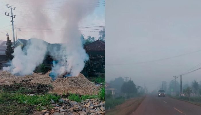 Kabut Asap Selimuti Desa Sidorejo Lamtim, Dampak Pembakaran Limbah Jagung