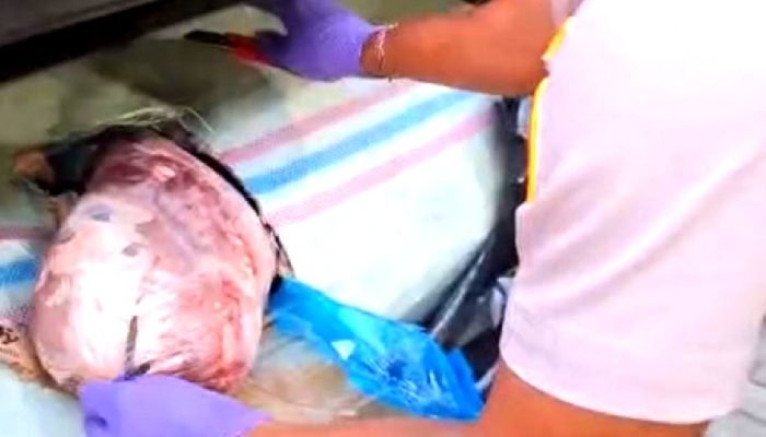 390 Kilo Daging Babi Hutan Asal Bengkulu Gagal Diselundupkan ke Bekasi Utara