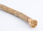 Ragam Manfaat Siwak bagi Kesehatan Mulut dan Asal Usul Penggunaannya