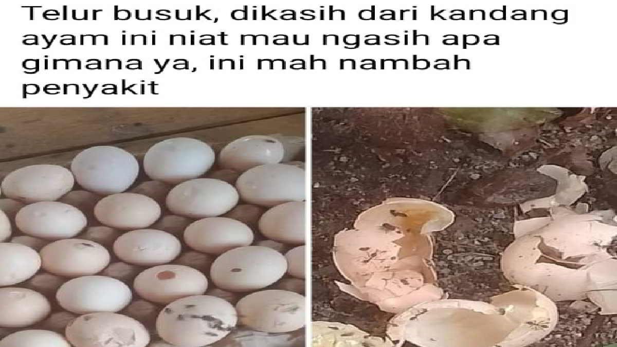 Salah satu unggahan di media sosial yang saat ini sudah dihapus,- foto tangkapan layar