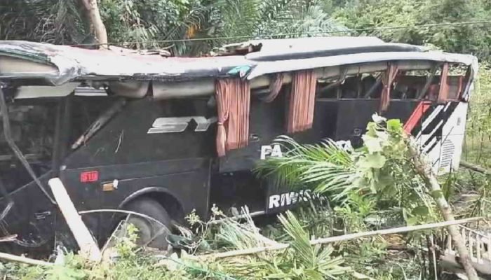 Bus Study Tour dari Krui Terperosok ke Jurang di Tanggamus, Dugaan Rem Blong