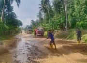 Hujan Deras Landa Tanggamus, Jalinbar Tertutup Lumpur dan Bebatuan