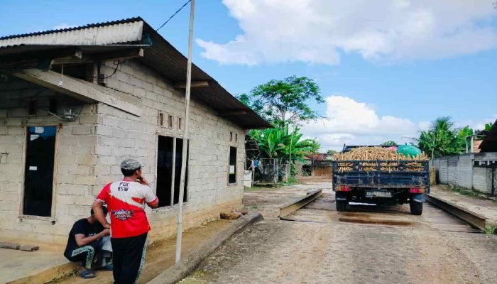 Keberadaan Lapak Sawit dan Singkong di Pakuan Aji Lampung Timur Dipertanyakan?