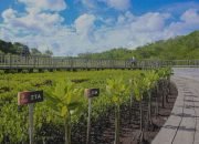 Tahura Ngurah Rai Jadi Kawasan Hijau Satu-satunya di Pulau Dewata