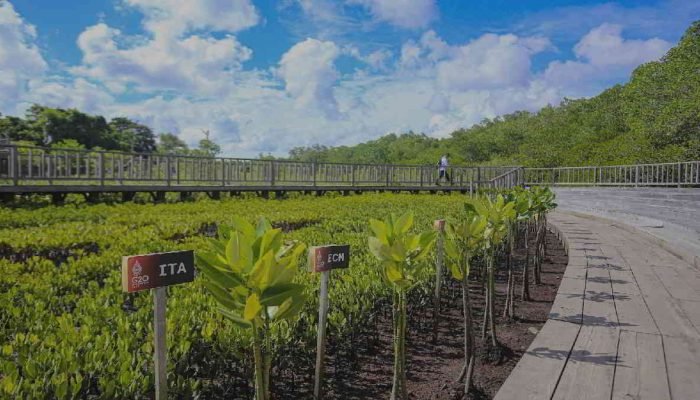 Tahura Ngurah Rai Jadi Kawasan Hijau Satu-satunya di Pulau Dewata