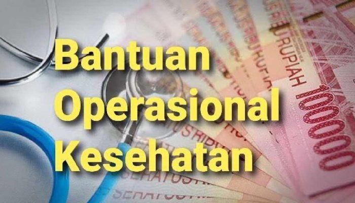 Dana BOK Dua Puskesmas di Tanggamus Diduga Jadi Bancakan