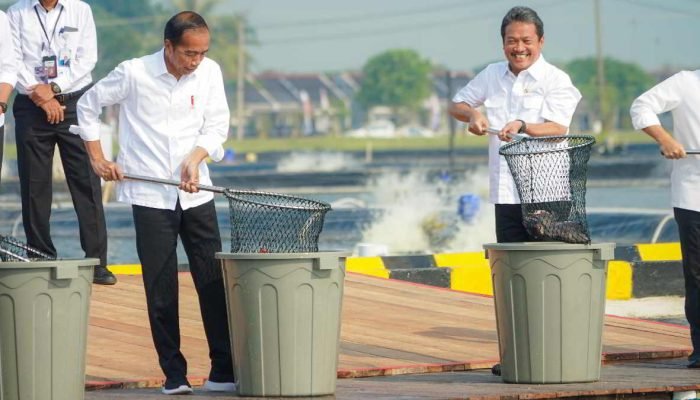 Lokasi Modeling Budidaya Ikan Nila Salin di Karawang Ditebar Benih Baru