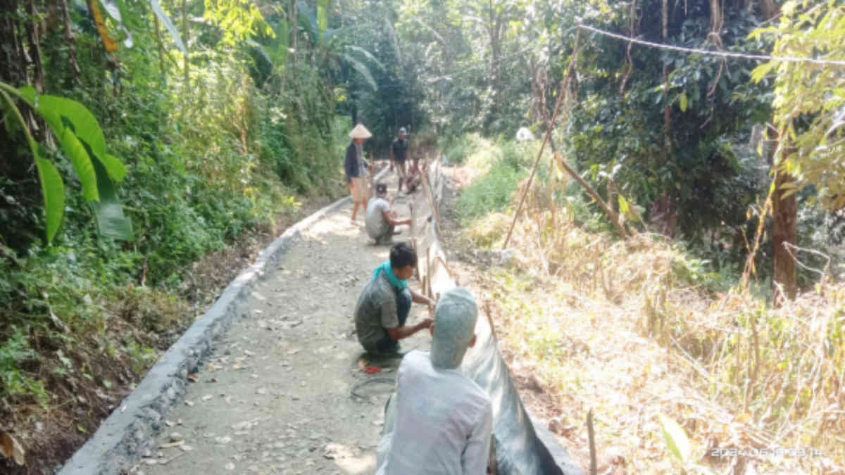 Warga Padang Ratu mengerjakan pembangunan jalan usaha tani di Dusun III, Rabu 19 Juni 2024