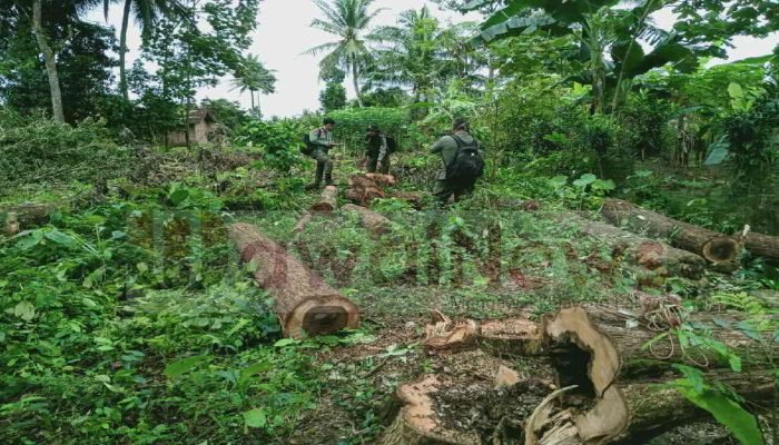 Politisi NasDem Lampung Timur Resmi Dilaporkan ke Polisi