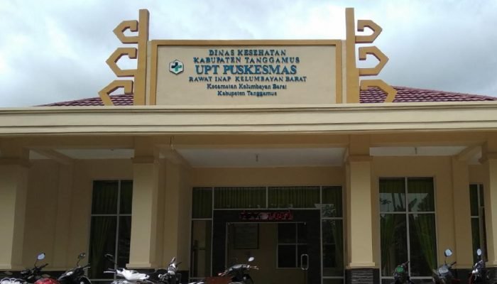 Dugaan Dana BOK Fiktif di UPT Puskesmas Kelumbayan Barat, Tanggamus