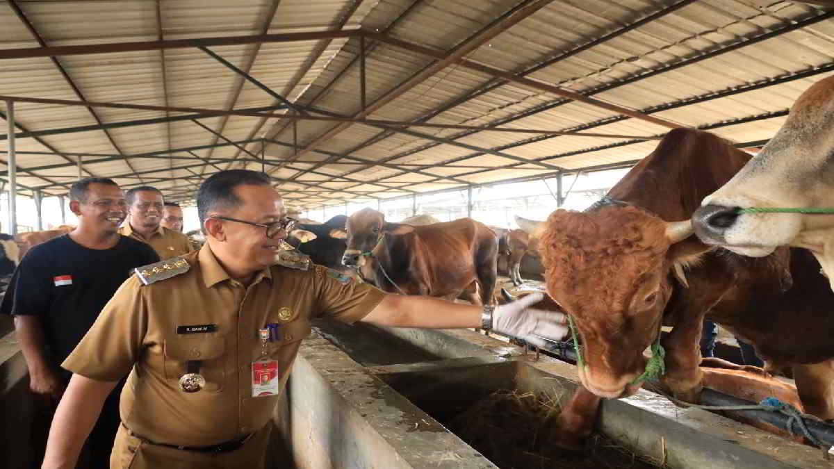Pj Wali Kota Bekasi bersama tim melakukan monitoring lapak pendistribusian hewan kurban di Jatiasih, Selasa 11 Juni 2024 - foto doc ist