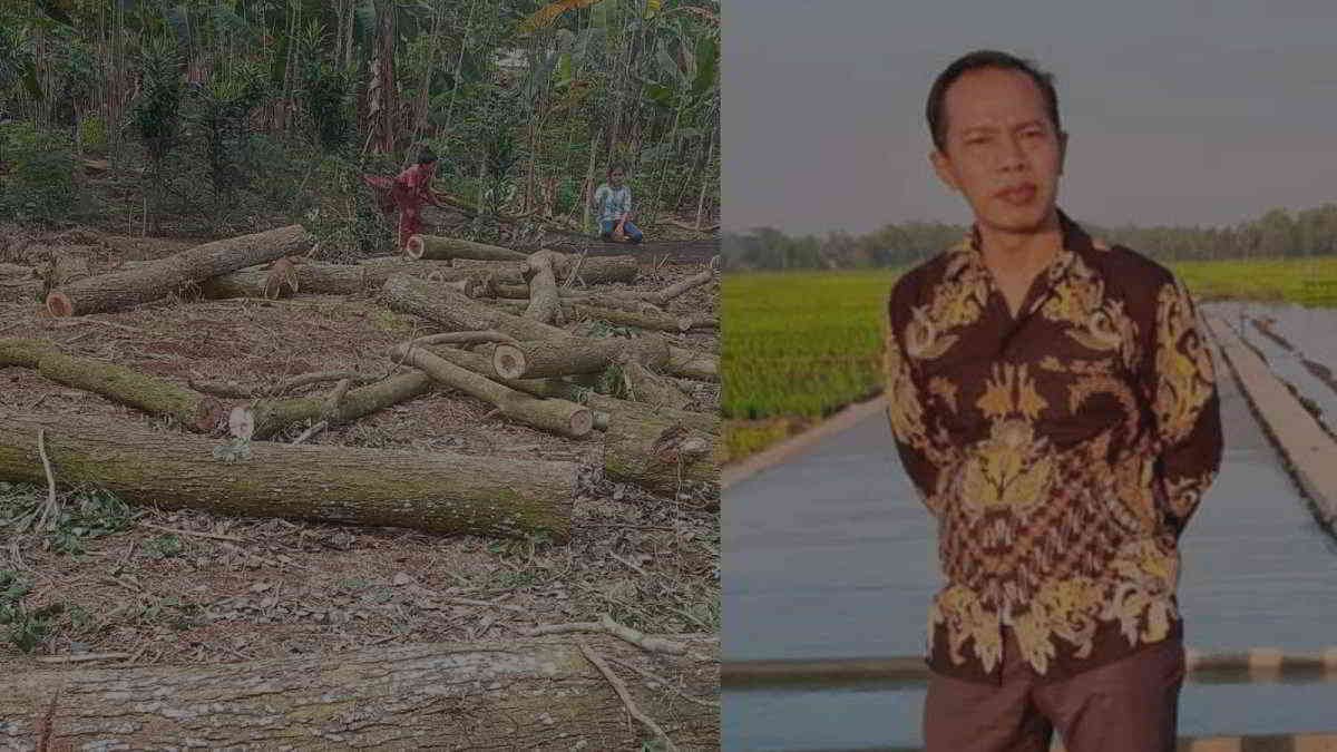 Badrun oknum Anggota Dewan Lampung Timur Fraksi NasDem yang dilaporkan terkait dugaan penebangan pohon Sonokeling di Lahan Register 38 - foto doc ist