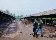 Verikasi Lapangan, Begini Arahan DLH Lampung Timur Terkait Kandang Penggemukan Sapi di Merandungsari