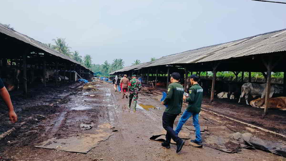 Dinas Lingkungan Hidup Kabupaten Lampung Timur, melaksanakan verifikasi lapangan terkait keberadaan kandang sapi ditengah pemukiman warga di Desa Merandungsari, Sekampung Udik, pada Jumat 19 Juli 2024