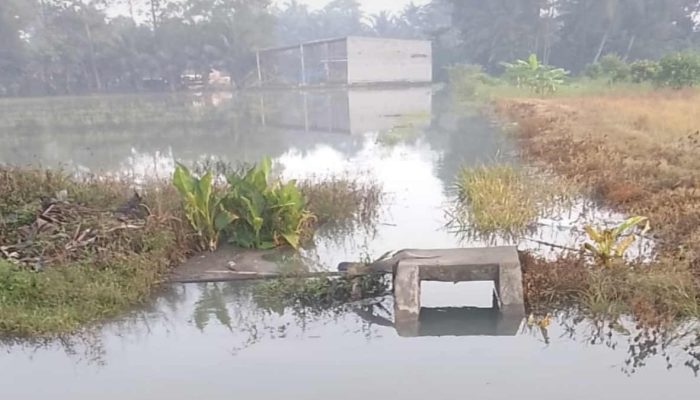 Ironis, Warga Dusun 1 Tanjungsari Jabung Sudah Lebih Dua Tahun Mengeluhkan Banjir