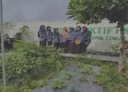 Peringatan HKG 2024, PKK Lamtim gelar Gerakan Tanam Cabai Serentak Se-Indonesia