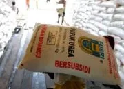 Ilustrasi Pupuk Subsidi - foto net