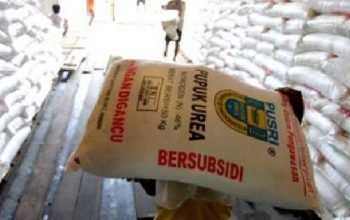 Ilustrasi Pupuk Subsidi - foto net