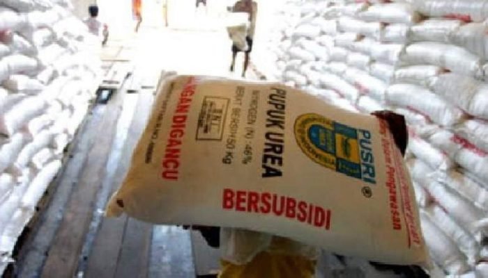 Lampung Masuk Daftar Merah Kios Nakal Main Harga Plus-plus Pupuk Subsidi