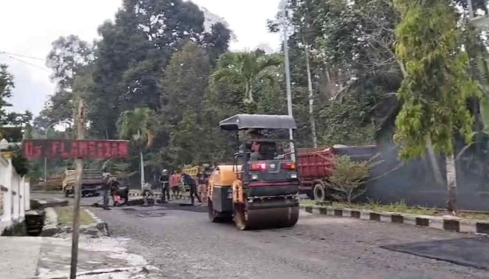 Sambut Kehadiran Jokowi, Pemkab Tanggamus Sulap Seluruh Jalan Umum Jadi Bagus