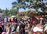 Warga Tanggamus Tumpah, Rela Berdesakan Sambut Kehadiran Jokowi