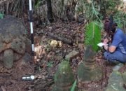 Temuan Benda Cagar Budaya di Ujung Kulon Penting untuk Peradaban Indonesia