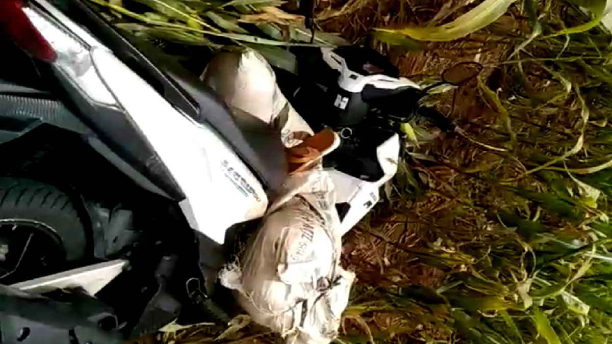 Mayat dalam karung tergelatak bersama motor di areal perkebunan jagung, wilayah perbatasan kecamatan Labuhan Ratu dan Sukadana, Lampung Timur, pada Kamis 18 Juli 2024