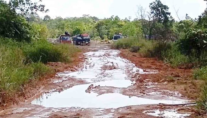 Tambang Pasir Ilegal Kembali Marak di Bintan, Kapolres: Terimakasih Infonya