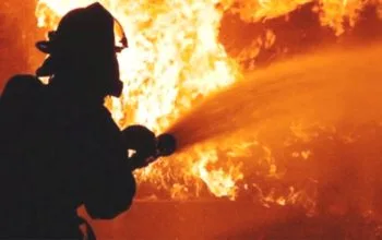 Api Membesar di Tanjakan Gayau Bulok Tanggamus, Warga Cemas Kobaran Mendekati Kabel Listrik