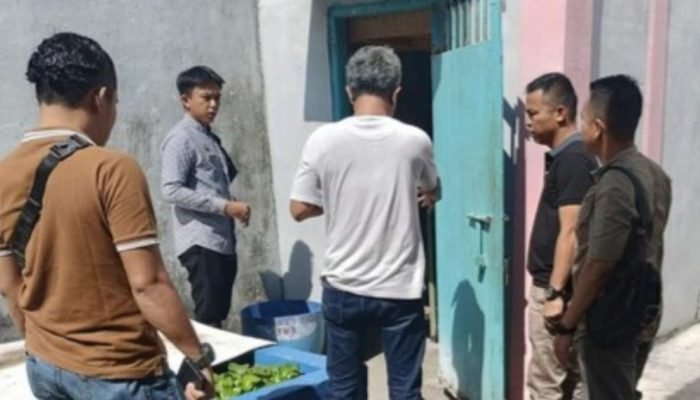 Napi Curat Kabur dari Rutan Krui