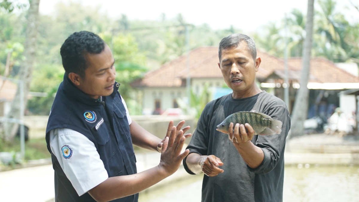 Smart Fisheries Village (SFV) atau Desa Perikanan Cerdas menjadikan Desa Kawali, Ciamis, Jawa Barat, kini menjadi pusat pendidikan dan pelatihan.