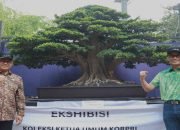 Ayo ke Festival Bonsai Nusantara di Hutan Patriot Chandrabaga Bekasi, Ada Ratusan Pohon Seluruh Indonesia